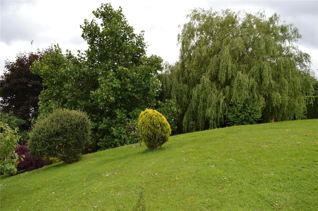 Communal Garden