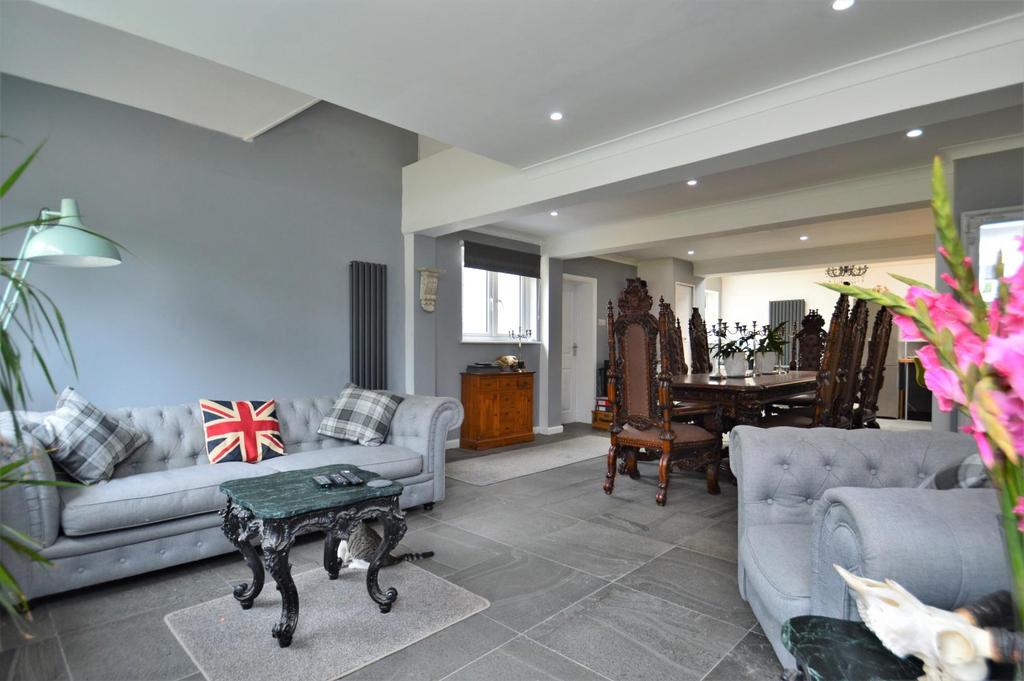 Kitchen/Living Area