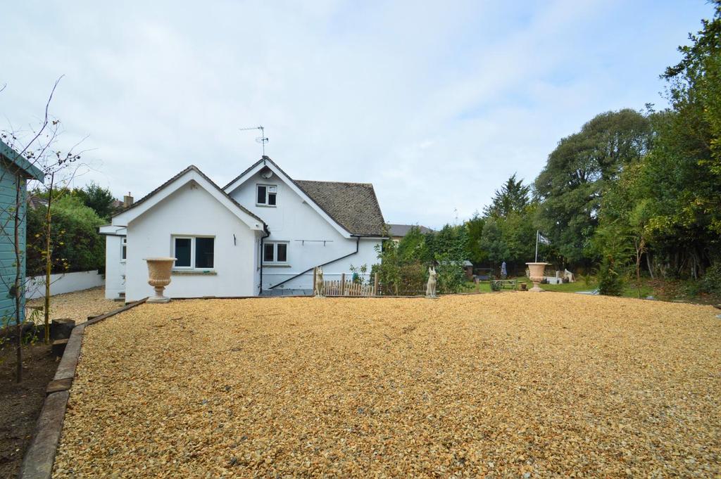 Rear Driveway