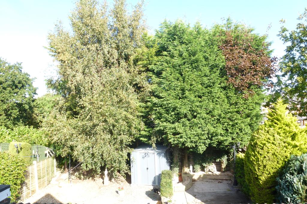 View to Rear