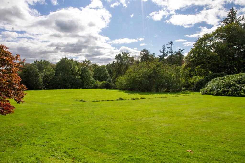 Communal grounds