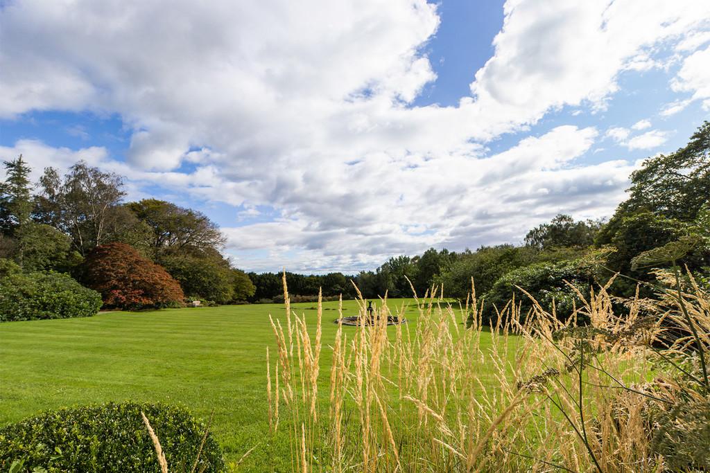 Communal grounds