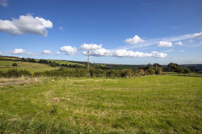 Lower Paddock