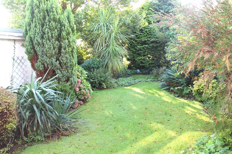 Rear  Garden