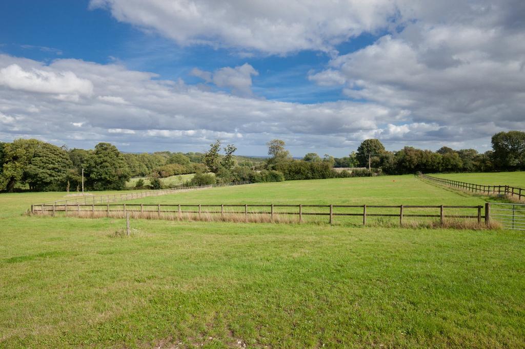 Countryside Views