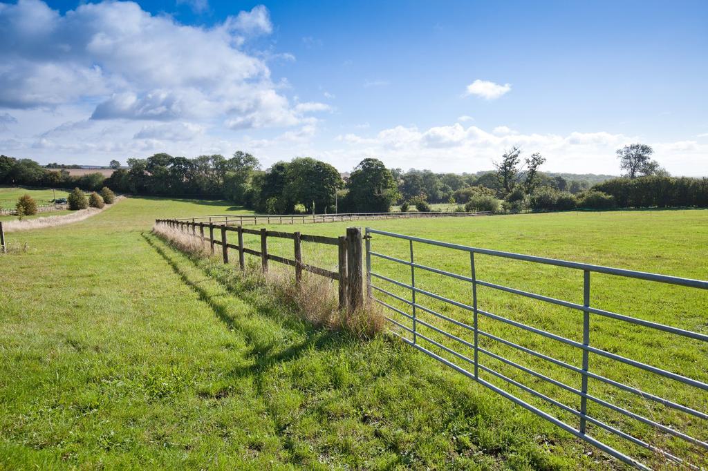 Paddock View