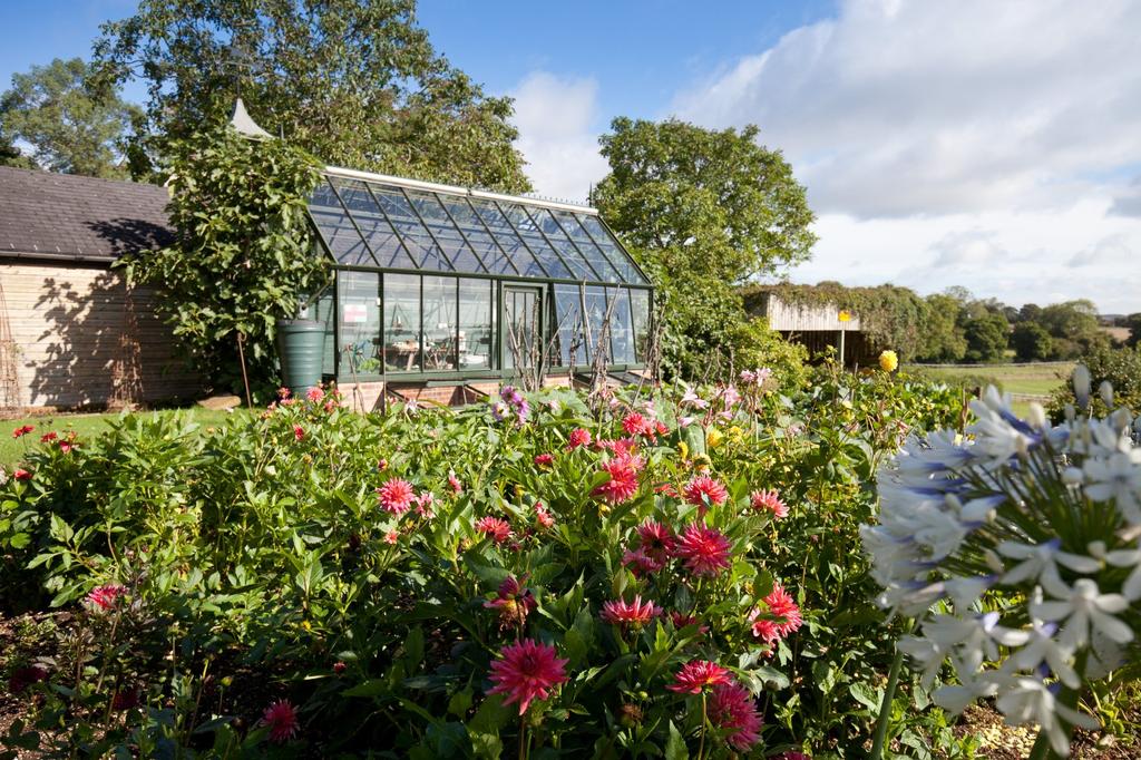 Kitchen Garden