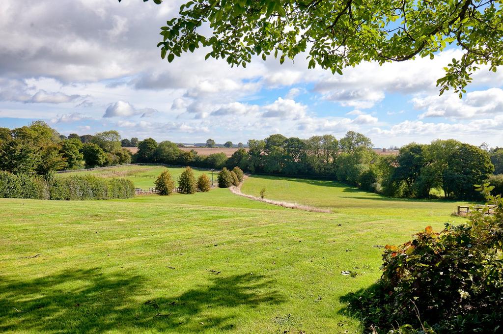 Countryside Views