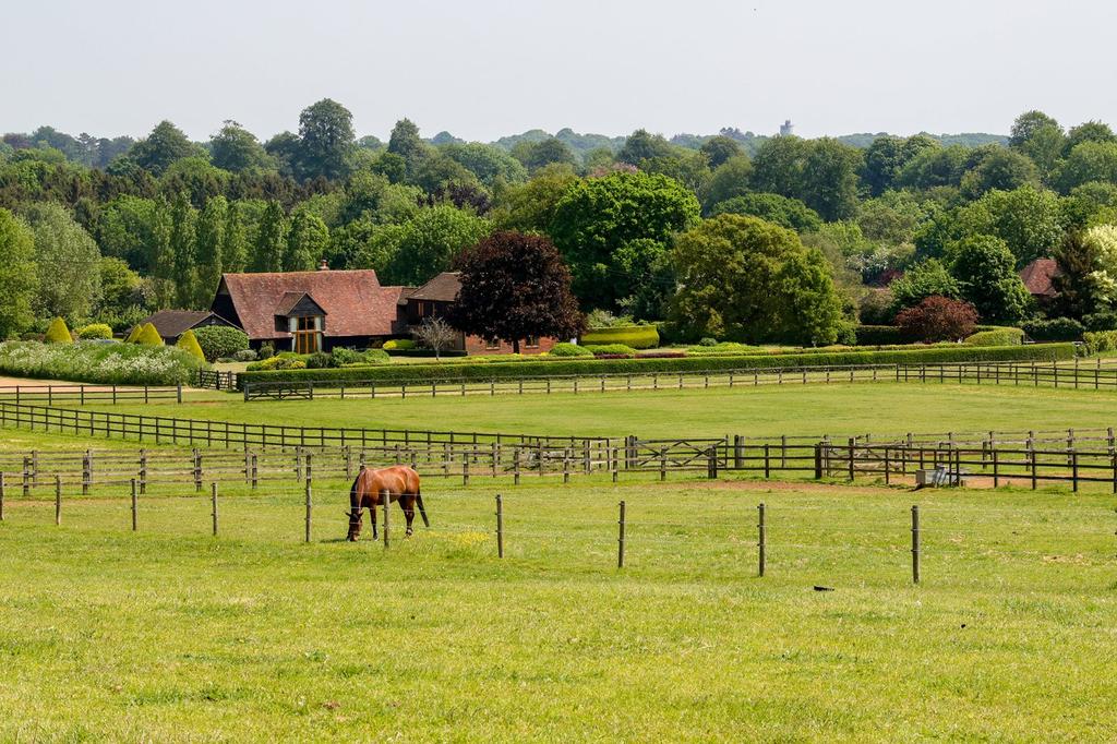 Suffield Farm