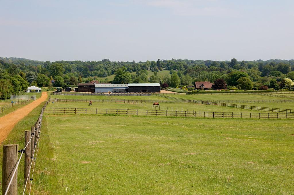 Gallops &amp; Paddocks