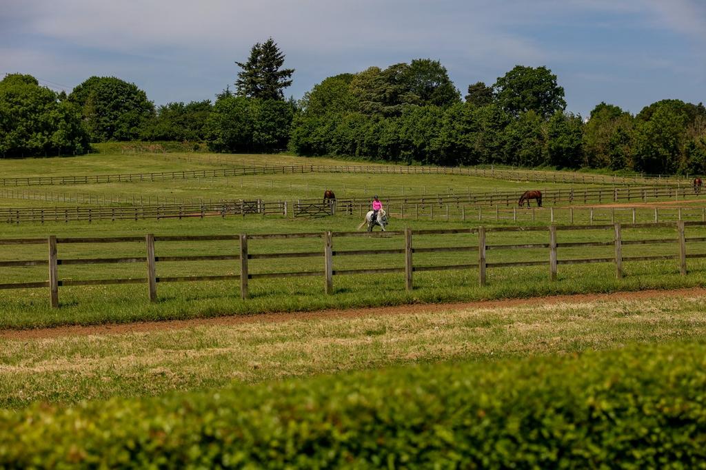 Paddocks