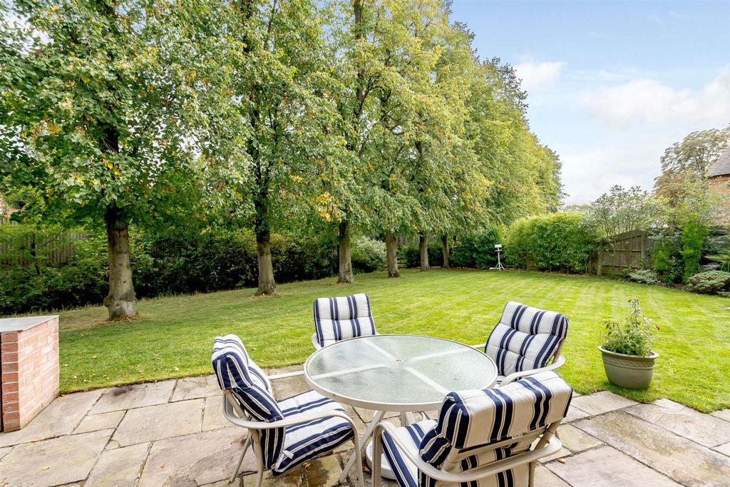 Patio Area