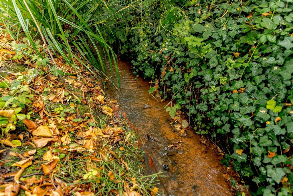 Stream