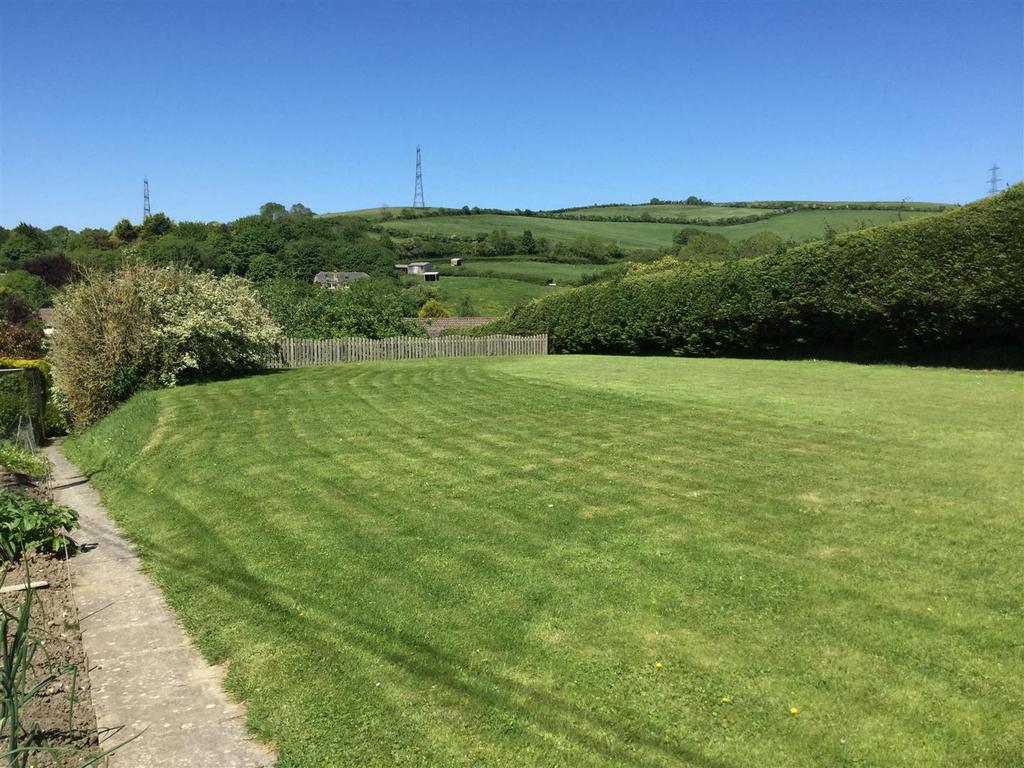 Back garden.jpeg
