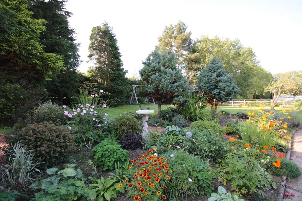 Img 0895.jpg