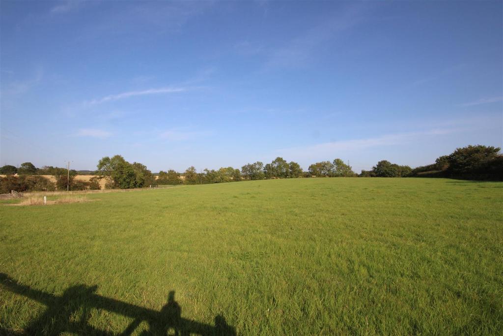 Img 0900.jpg