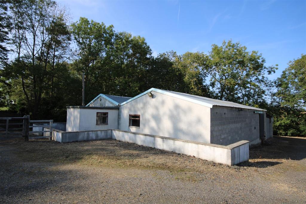 Img 0875.jpg