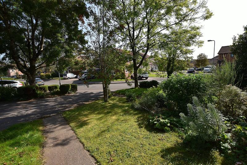 Front garden and entrance
