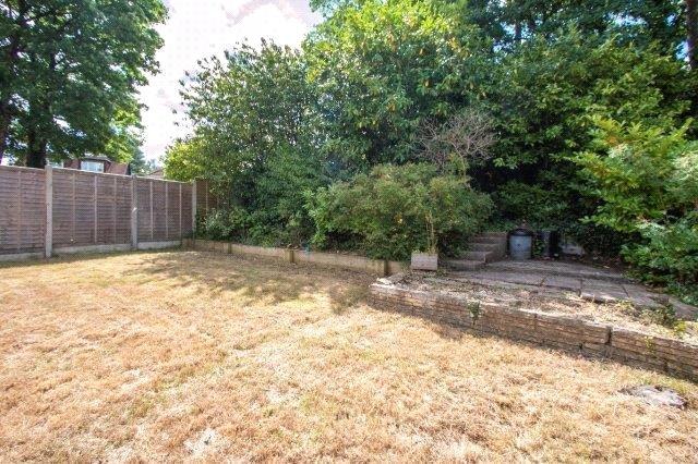 South Facing Garden