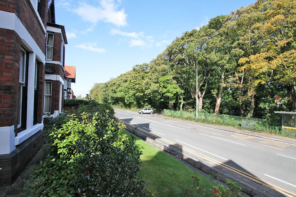 Street