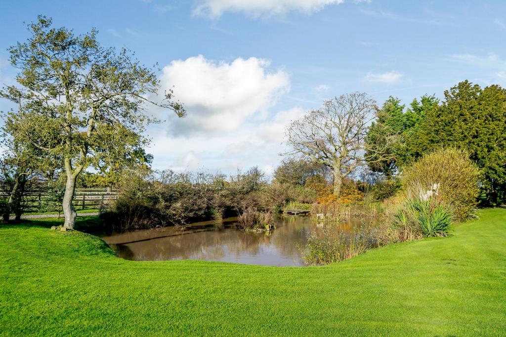 Pond