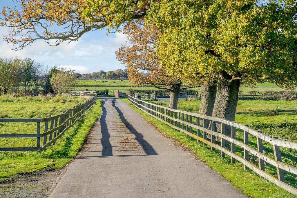 Driveway