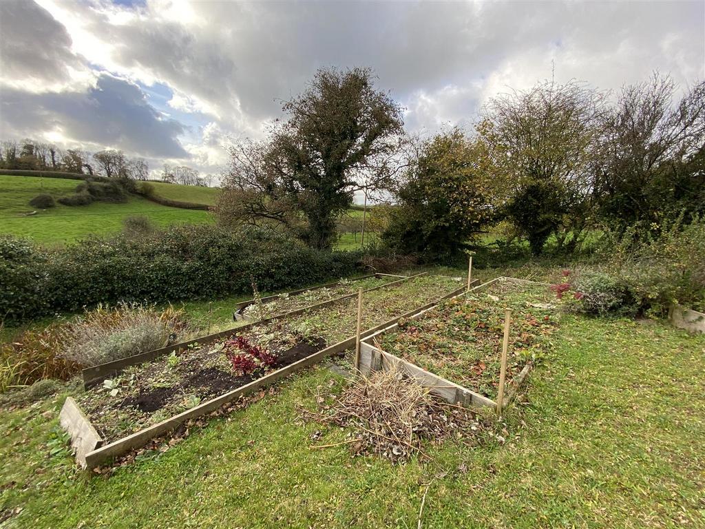 Vegetable patch