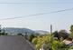 IMG 8880.jpg