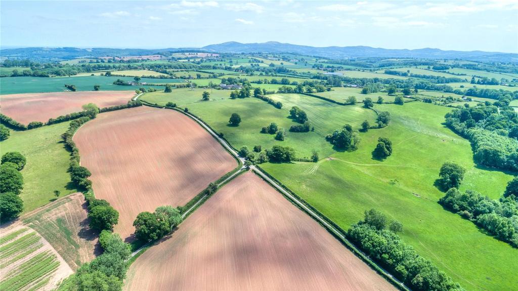 Sintons End Farm