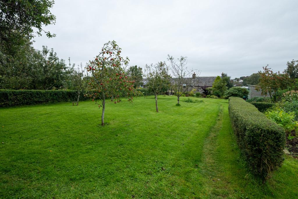 Laid to Lawn Garden with Fruit Trees