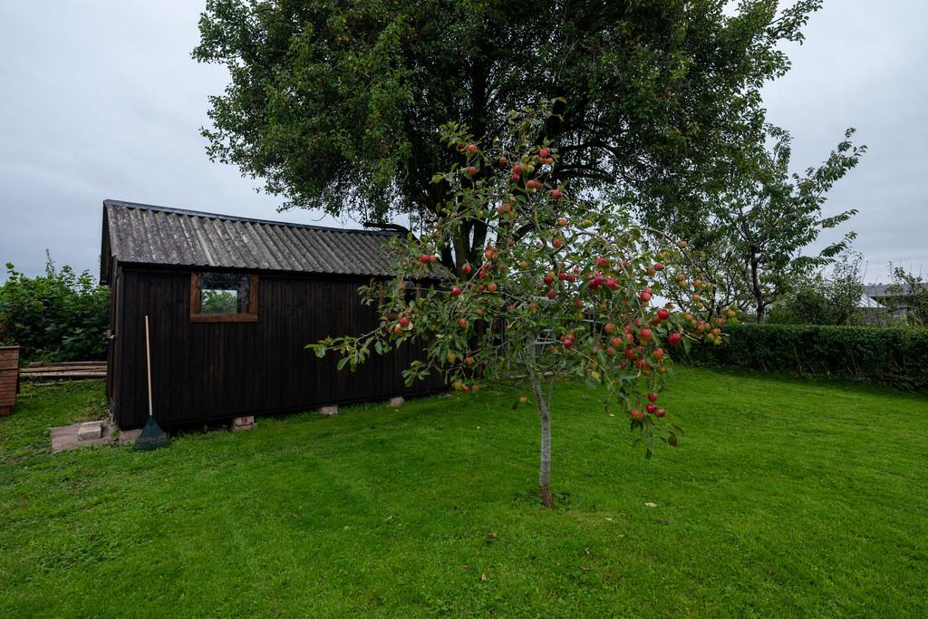 One of Several Garden Sheds
