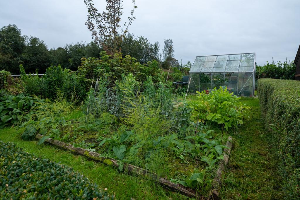 Veg Plot