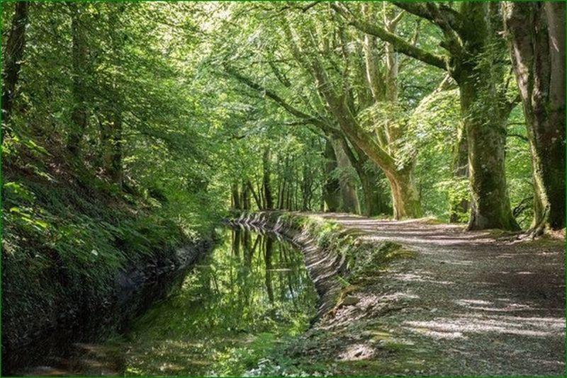 Access To The Canal