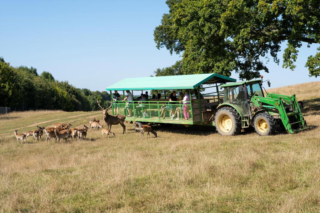 Pease Hill, Bucklebury, Reading, RG7 Land £1,500,000