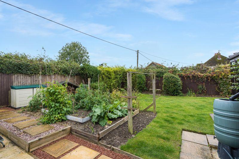 Vegetable Garden