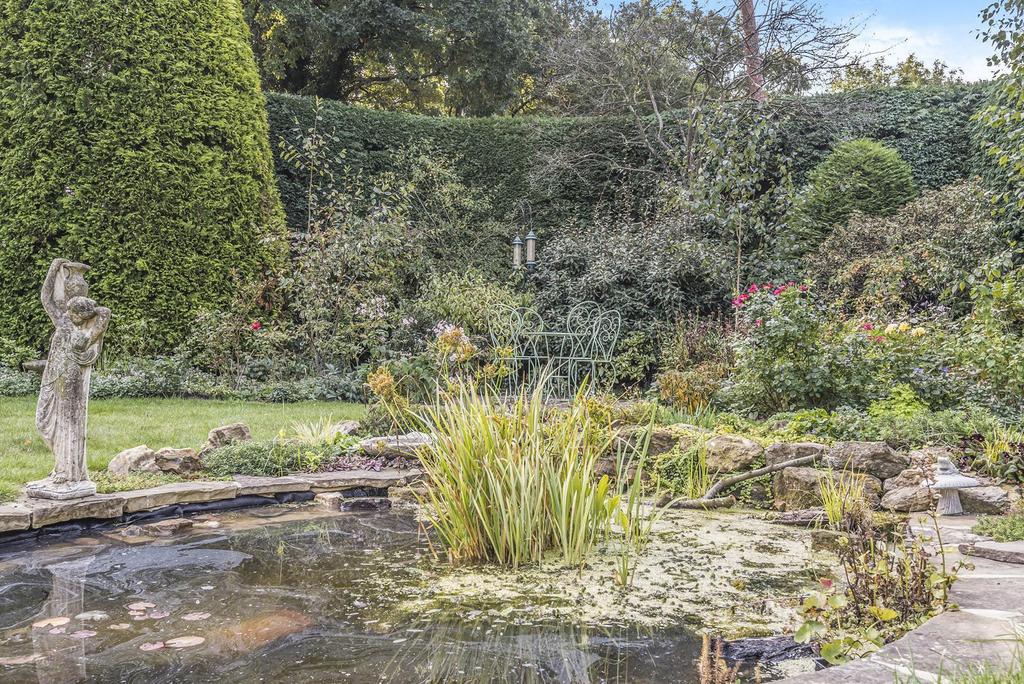 Garden pond