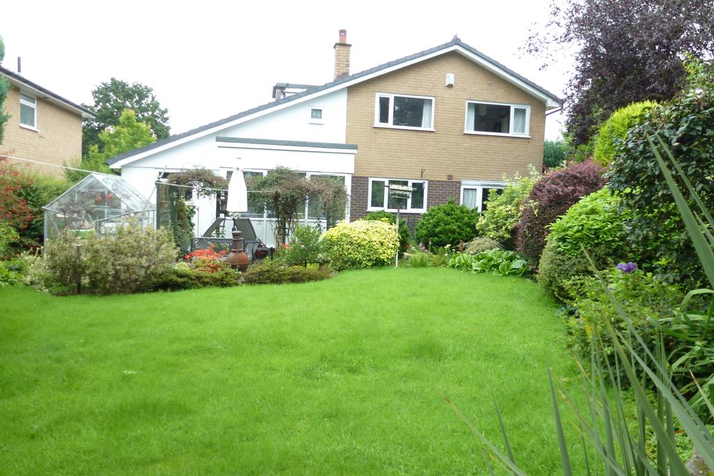 Rear Elevation