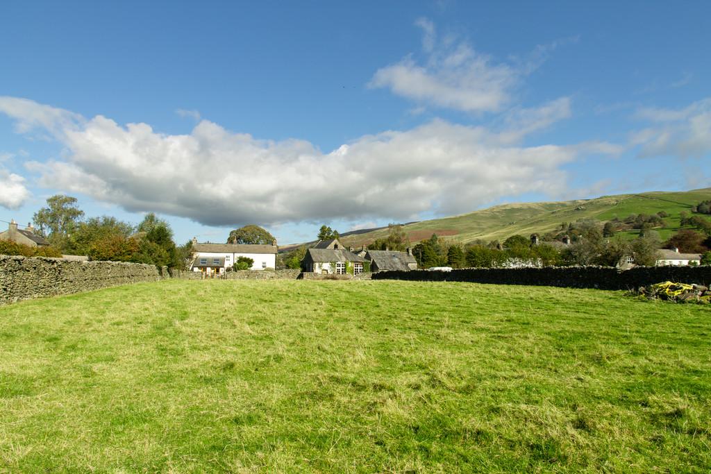 The Paddock