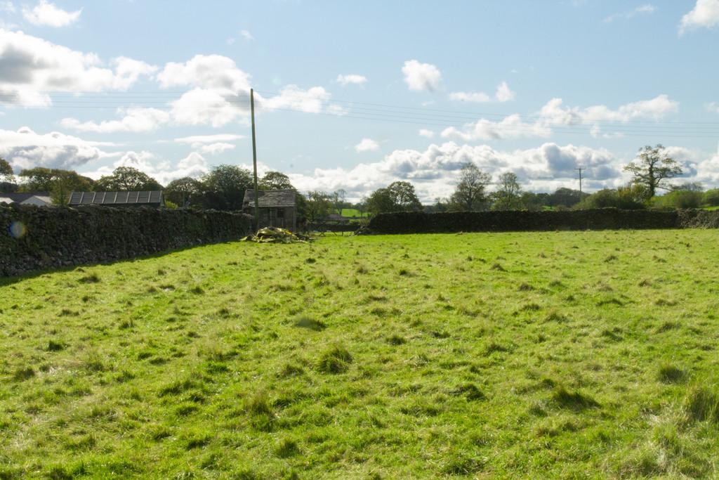 The Paddock