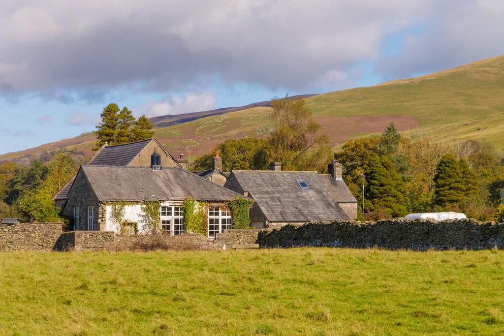 Rear Aspect