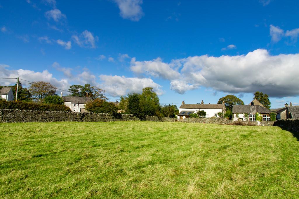 The Paddock