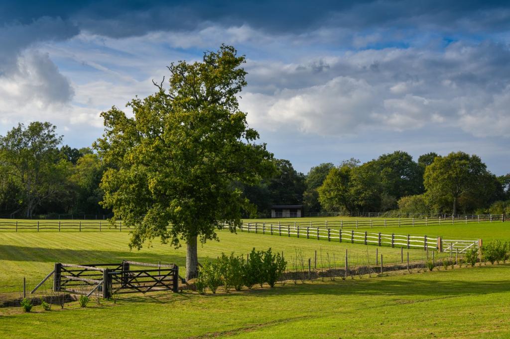 Paddocks
