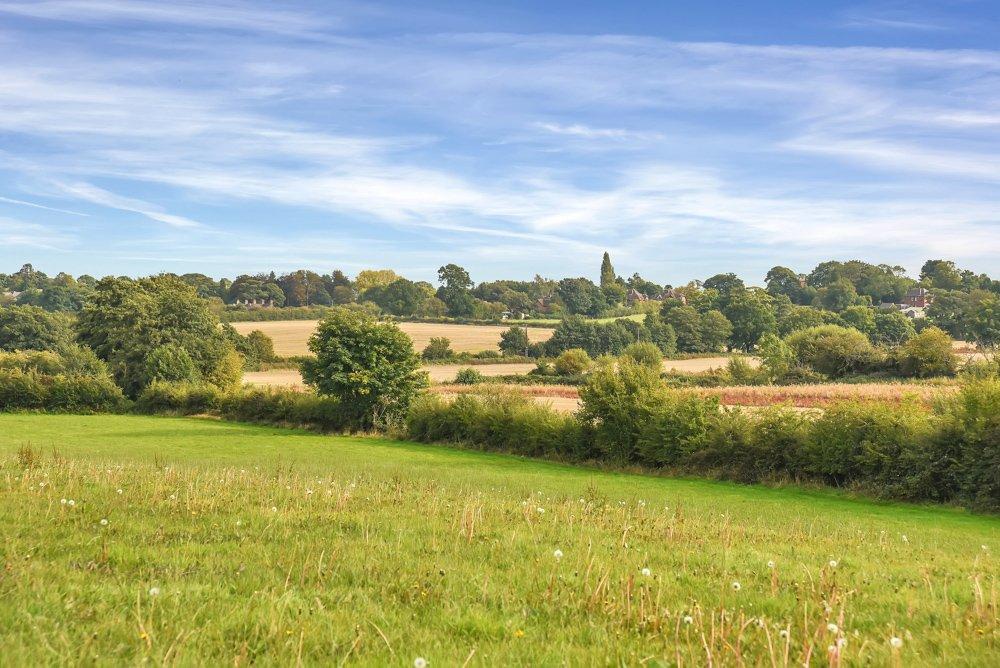 Lot 3 - Nether Lane Farm, Burntwood Land - £150,000