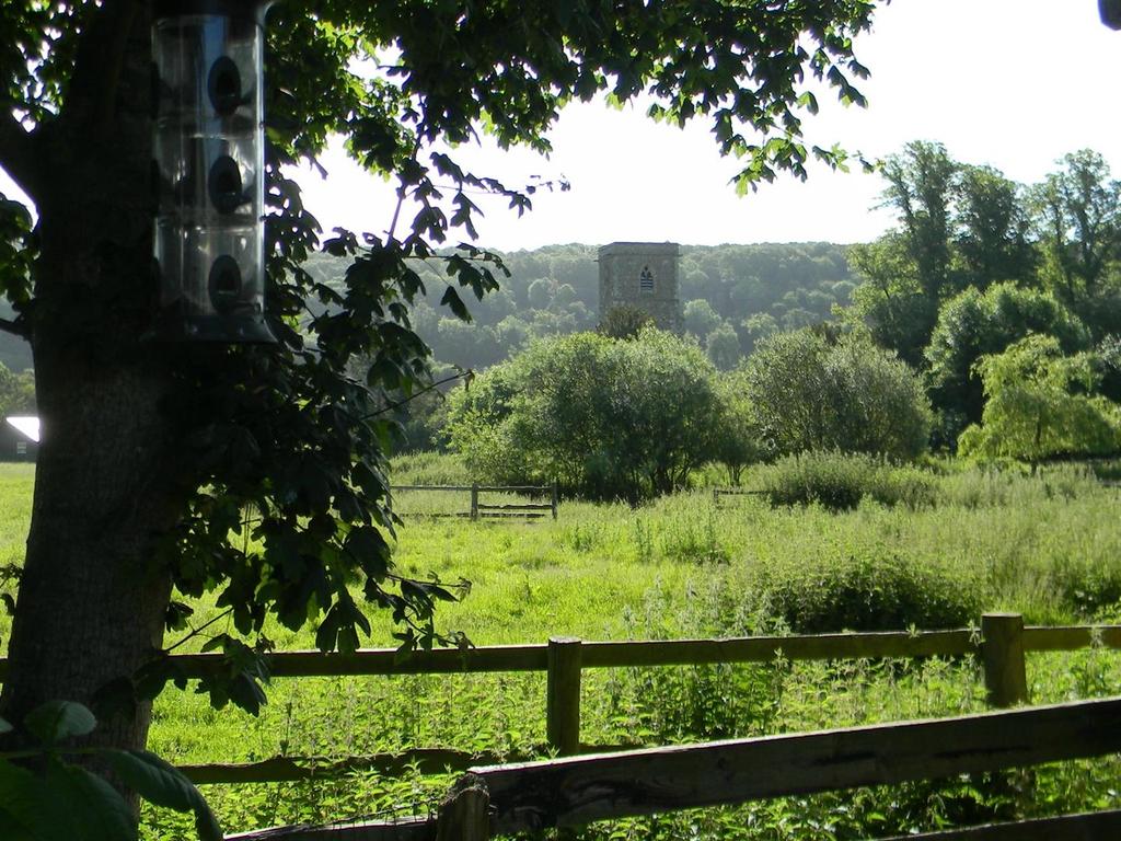 Countryside