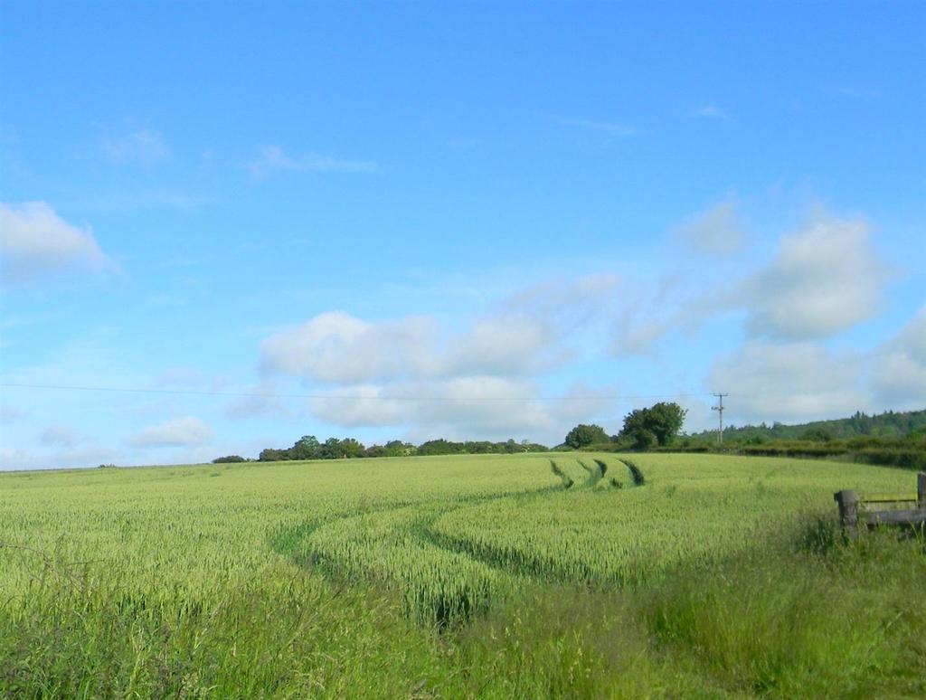 Countryside