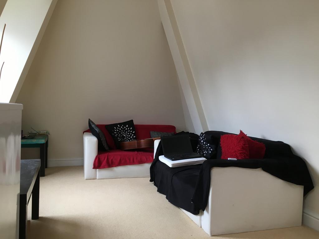 Living Room/Kitchen