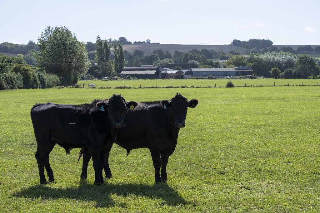 Lower Idstone Farm-017