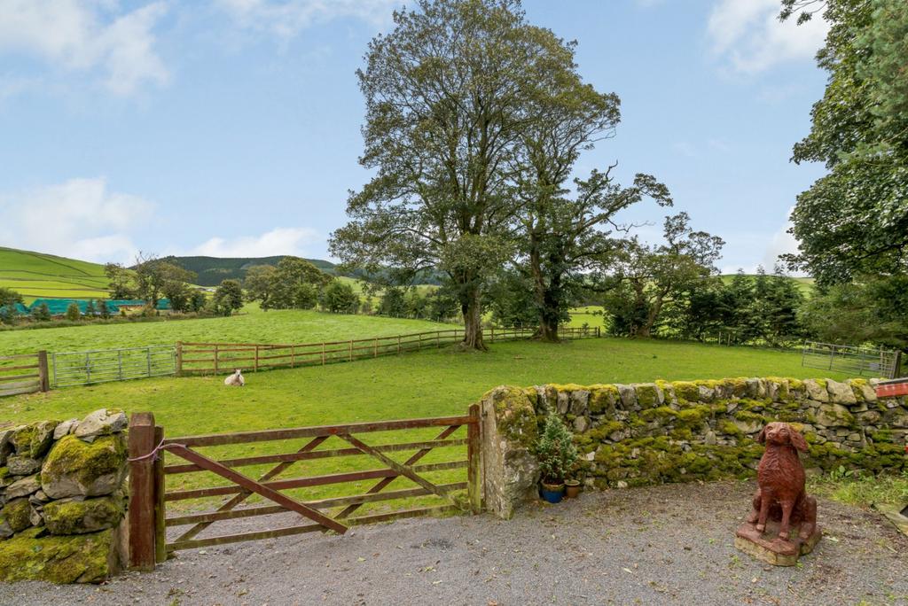 Gate To Paddock