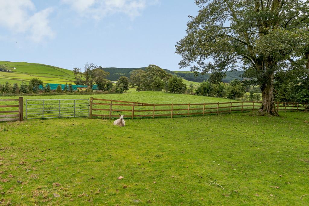 Paddock