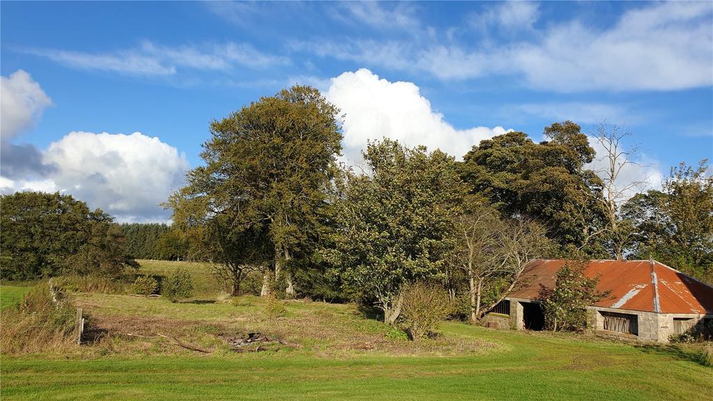 Site 2